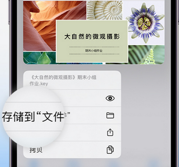 平顶山apple维修中心分享iPhone文件应用中存储和找到下载文件