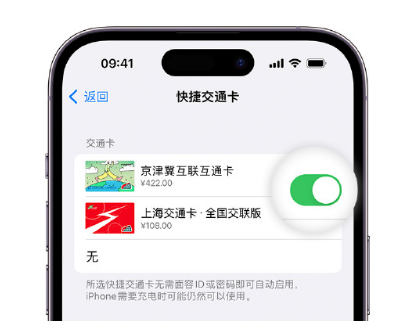 平顶山apple维修点分享iPhone上更换Apple Pay快捷交通卡手绘卡面 