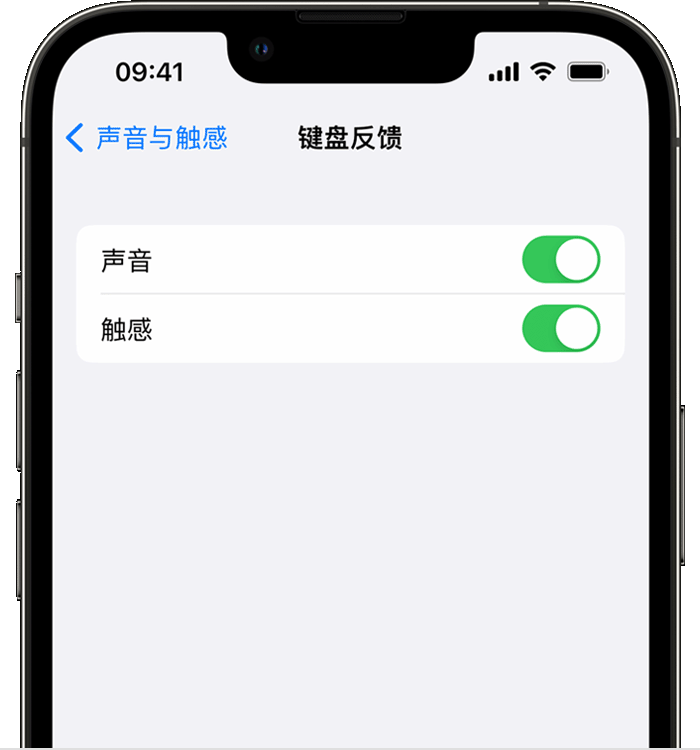 平顶山苹果14维修店分享如何在 iPhone 14 机型中使用触感键盘 