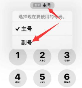 平顶山苹果14维修店分享iPhone 14 Pro Max使用副卡打电话的方法 