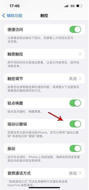 平顶山苹果手机维修分享iPhone手机如何设置摇一摇删除文字 